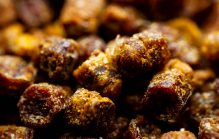 프로폴리스 효능, 부작용, 복용법 총정리 (2024ver)