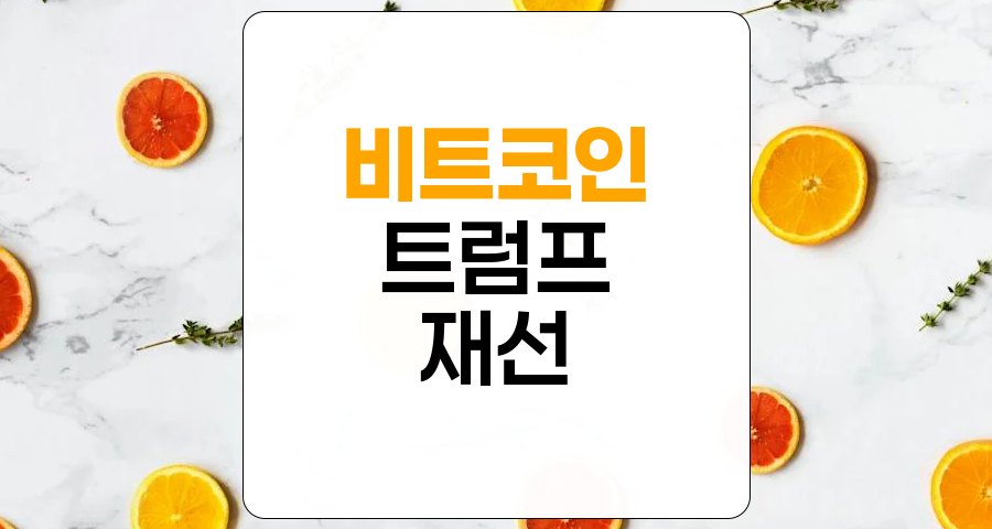 비트코인과 트럼프 재선, 트럼프 트레이드의 영향 분석