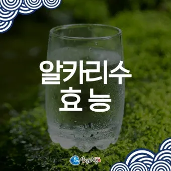 알카리수 효능과 알칼리수 부작용까지 완벽 분석_9