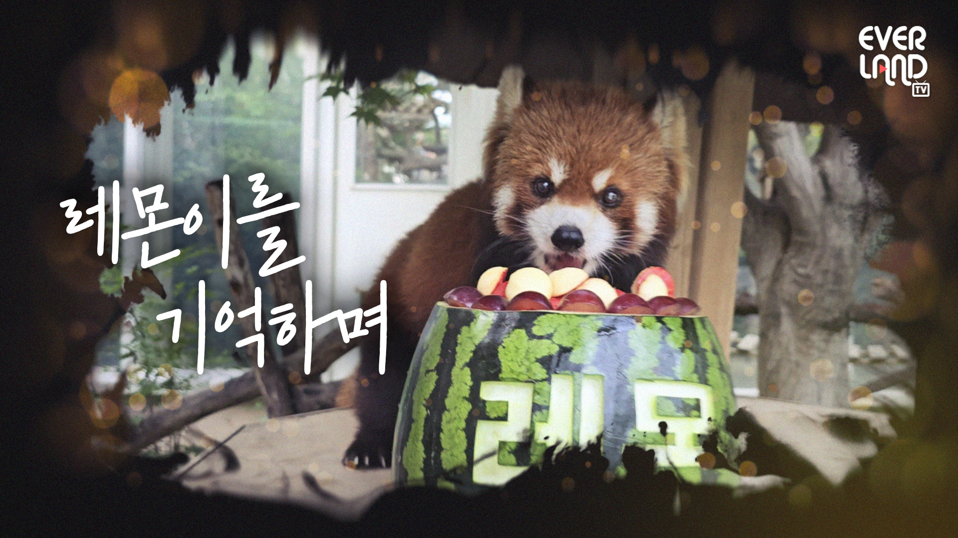 레몬아 사랑해!