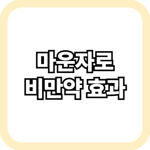 마운자로 비만약 효과