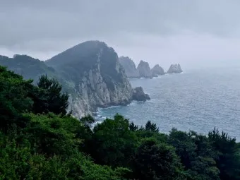 통영 연화도 수국 꽃길 산책 코스와 최적 관람 시기_5