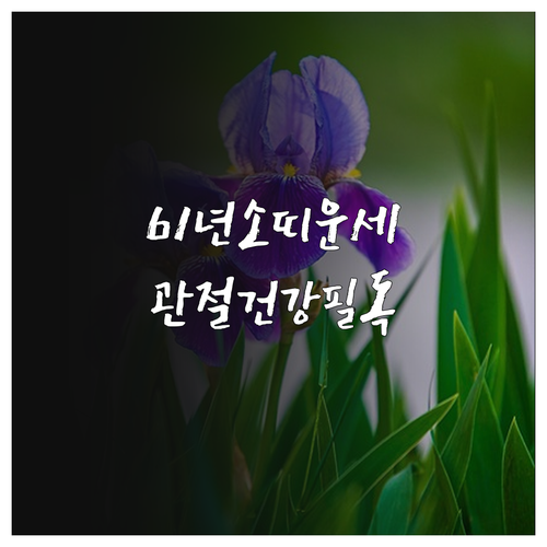 2026년 4월 소띠 61년생 운세 ..