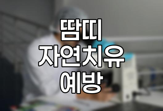 땀띠 자연치유 및 예방 방법 상세 가이드