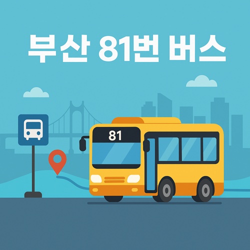 부산 81번 버스 노선 섬네일
