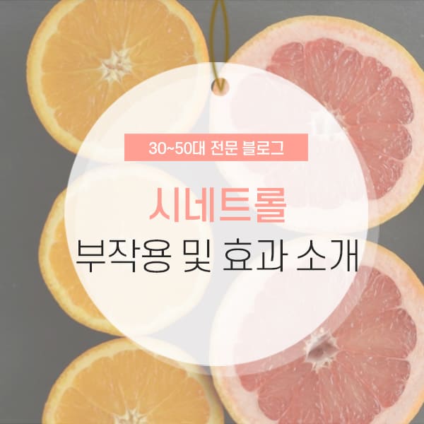 시네트롤 부작용 및 효능 소개 컨텐츠