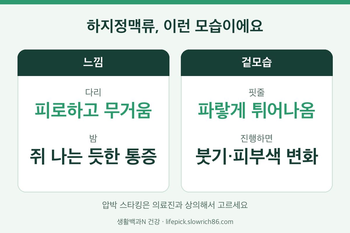 하지정맥류 증상 다리 무거움 밤에 쥐 튀어나온 핏줄 붓기