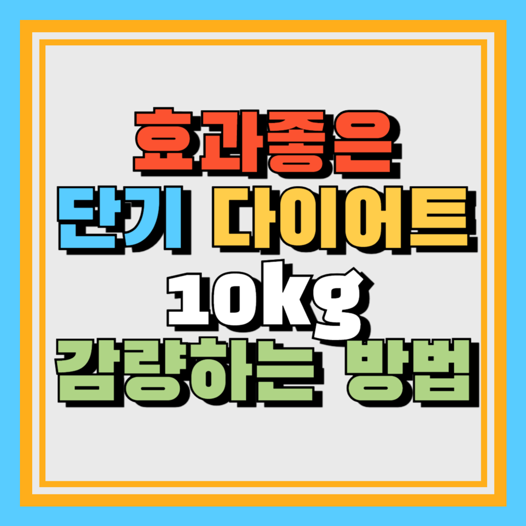 효과좋은 단기 다이어트