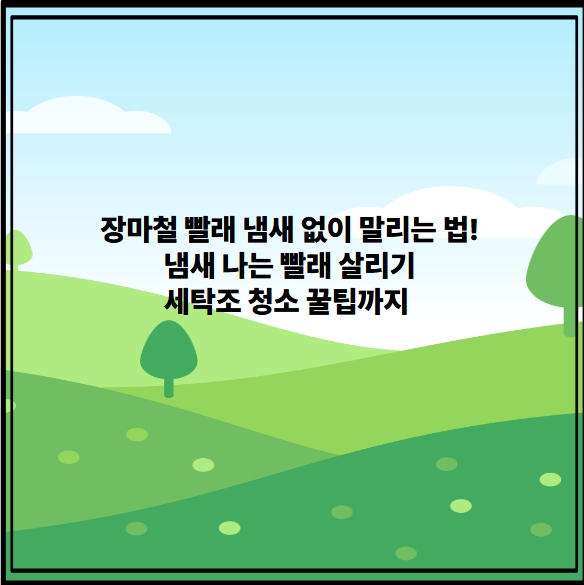 장마철 빨래 냄새 없이 말리는법 냄새나는 빨래 살리기 세탁조 청소 꿀팁까지