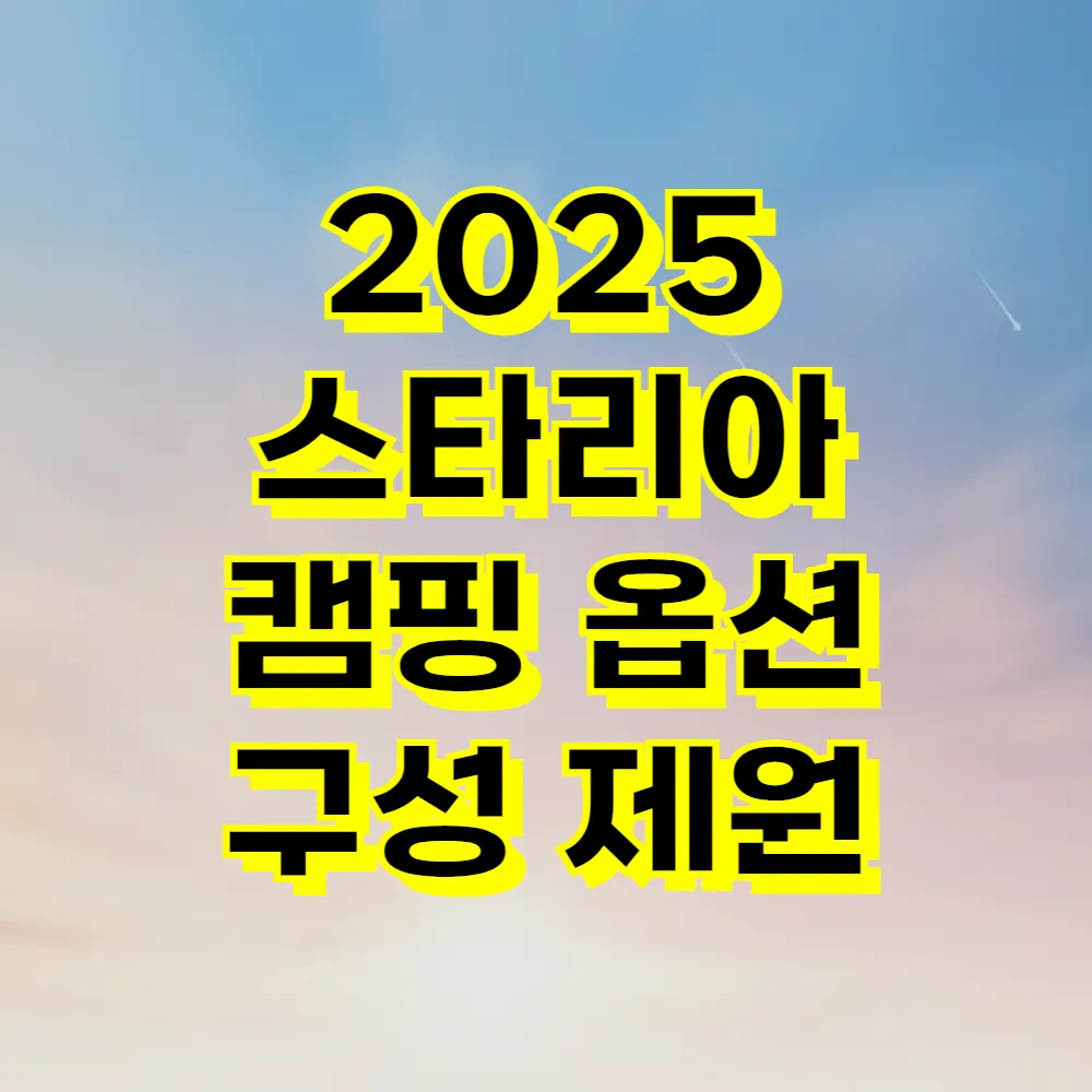 2025 스타리아 캠핑 옵션 구성 제원
