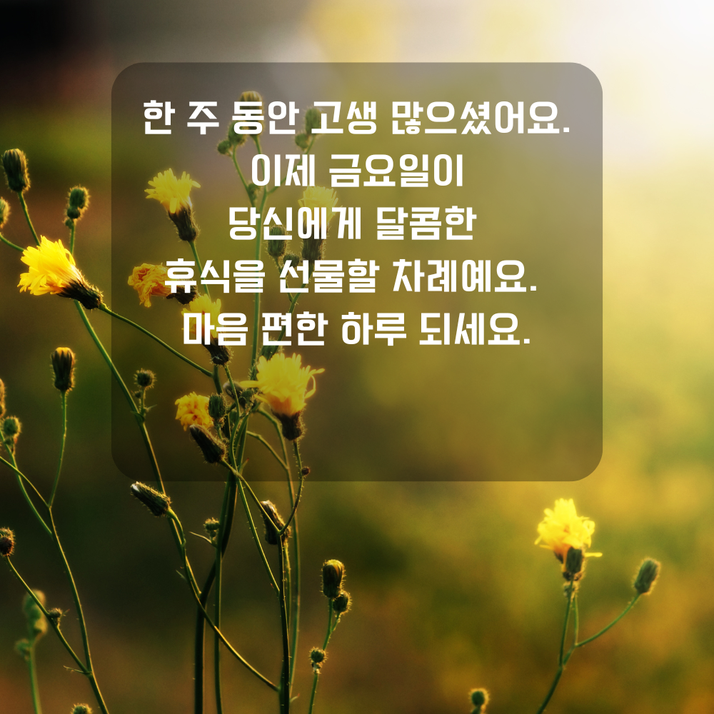 행복한 금요일 아침 인사말 문구 이미지 인사글 모음