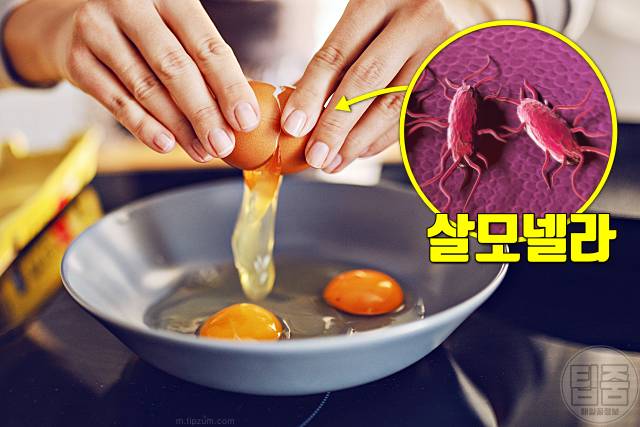 뇌경색 여름철 질병 여름질병 식중독 살모넬라 날달걀