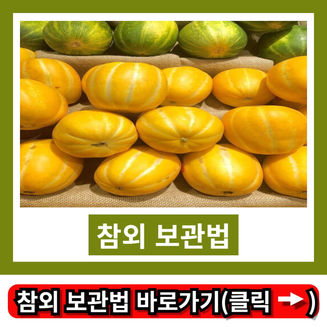 참외 보관법