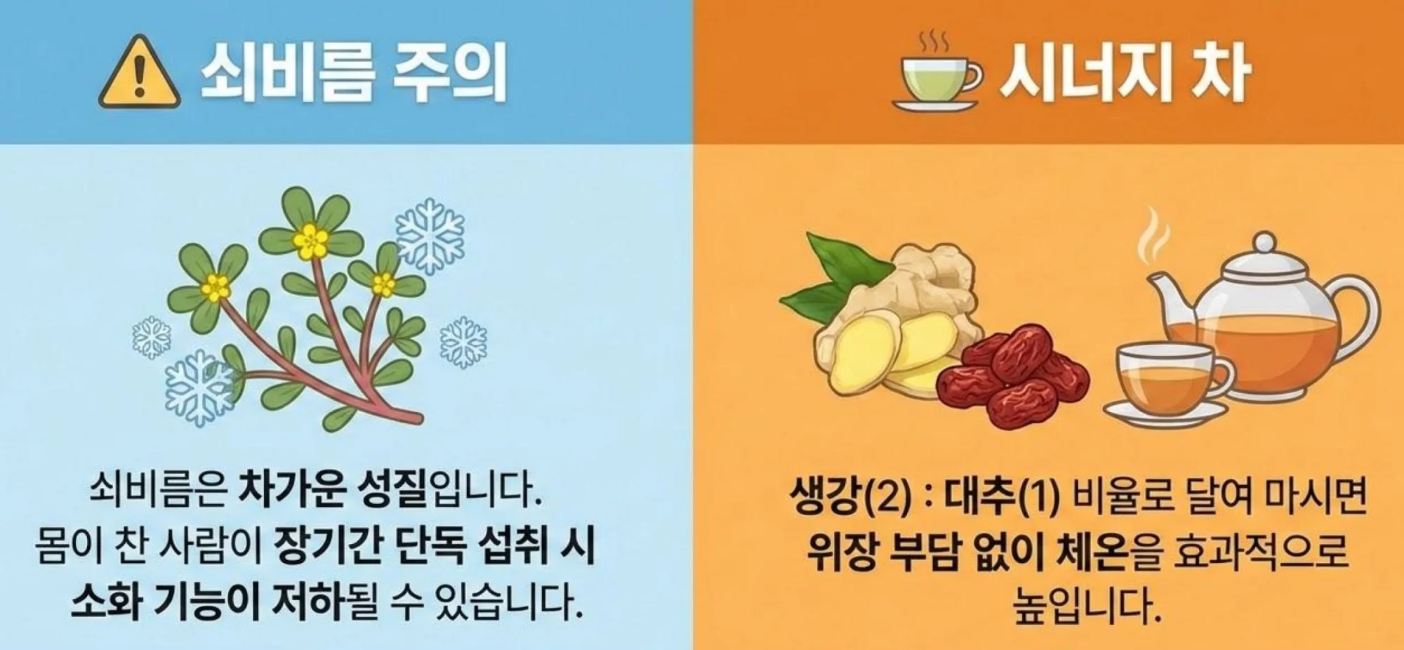 차가운 성질의 쇠비름 단독 섭취 주의 및 생강과 대추의 시너지 차 레시피 안내
