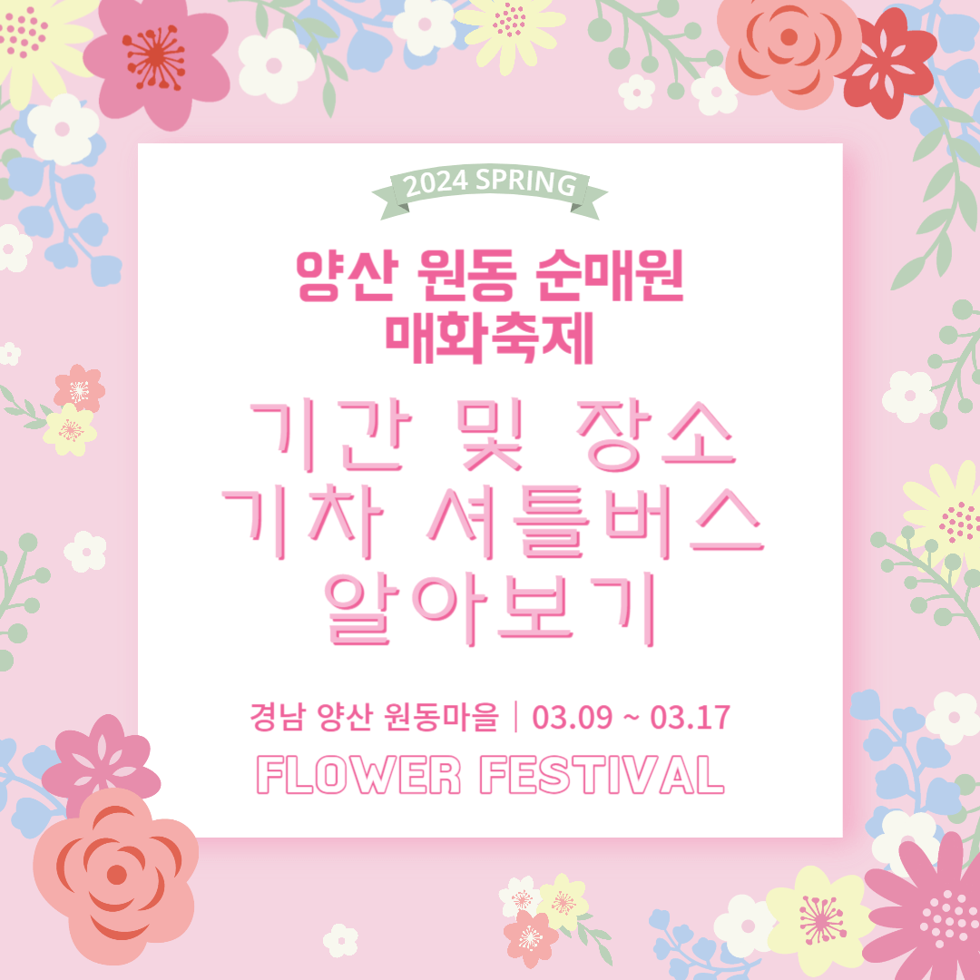 2024 양산 원동 순매원 매화축제 기간 및 장소 기차 셔틀버스 알아보기