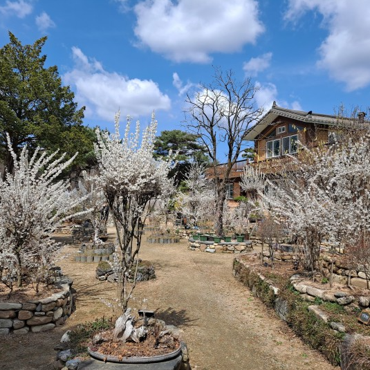 6시내고향 휴양마을 충북 괴산 미선나무체험 휴양마을