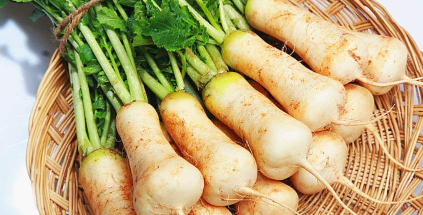 바구니에 담겨 있는 알타리