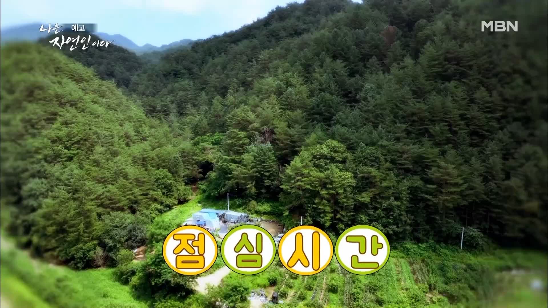 이승윤 윤택 나는 자연인이다 516회 나 자신을 위한 선택을 하기로 결심한 세 번째 스무 살 행복을 쓰는 자연인 차선옥 소개 및 출연 다시보기