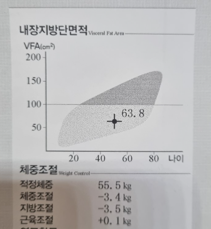 4주간 인바디 변화 요약