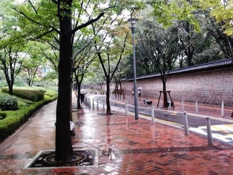 비오는 덕수궁 돌담길 사진
