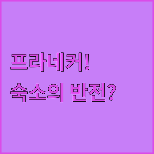 진정한 힐링을 선사할 네덜란드 프라네..