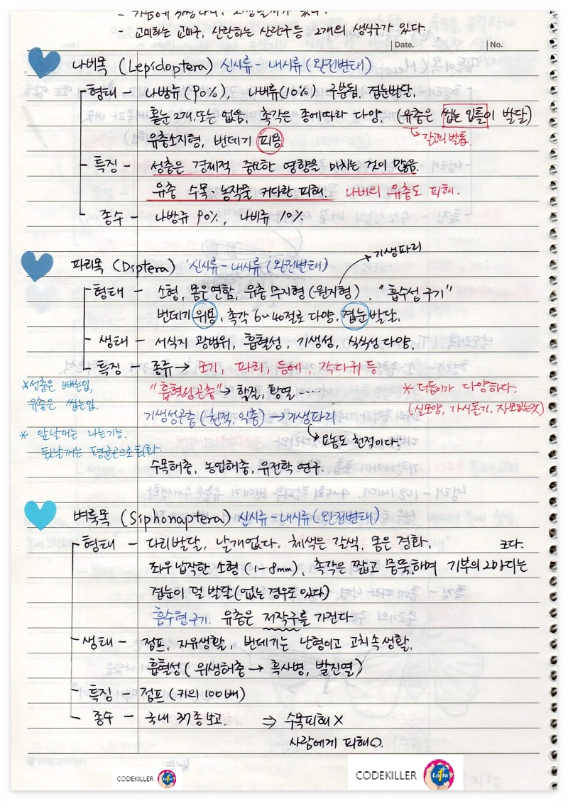 통분류 - 나비목, 파리목, 벼룩목, 벌목