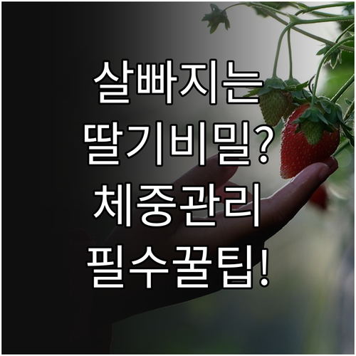체중 관리에 효과적인 딸기 영양 정보..
