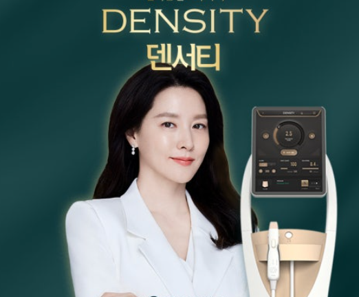 덴서티 사진