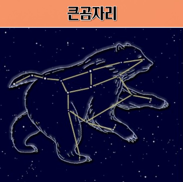 큰곰자리 공개