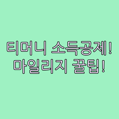 모두의카드 티머니 소득공제 등록과 대..