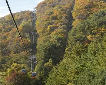 발왕산 케이블카_24