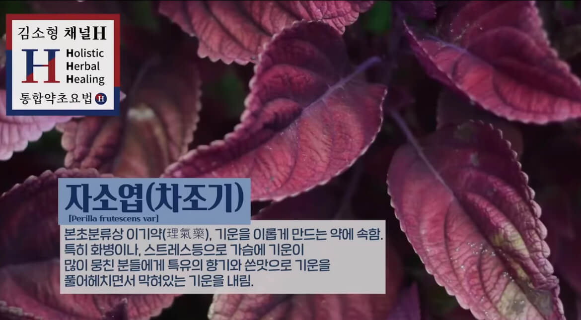 김소형 한의사의 팁