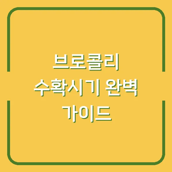 브로콜리 수확시기 완벽 가이드