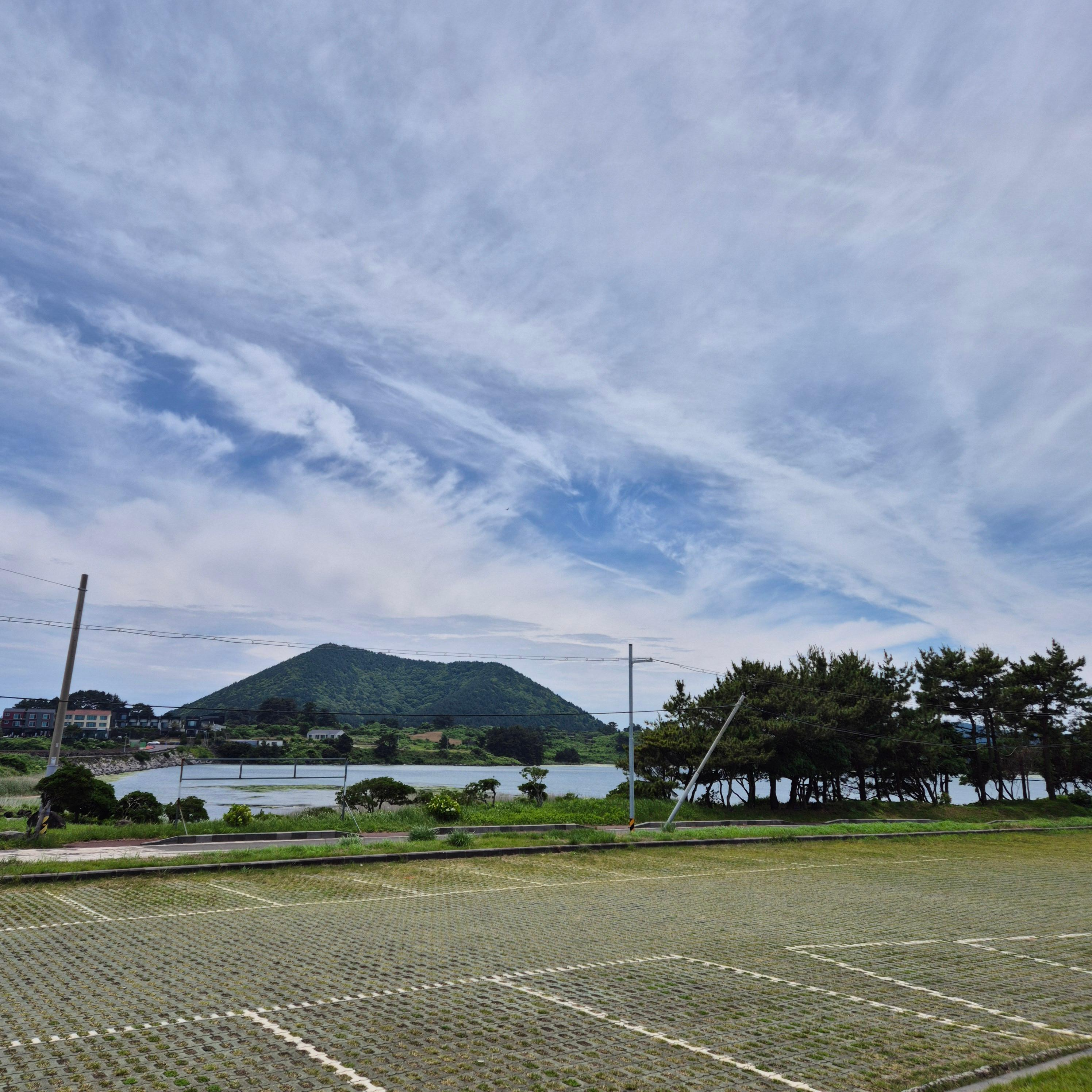제주 바투모루 카페, 하도해수욕장 카페, 제주 당근주스, 제주 한라봉 케이크, 제주 아이스아메리카노, 제주 뷰맛집, 구좌 카페, 제주 브루잉카페, 제주 디저트카페, 제주 카페 추천