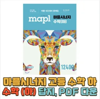 2025 마플시너지 공통수학2 책소개 교재리뷰 답지 모음집_5
