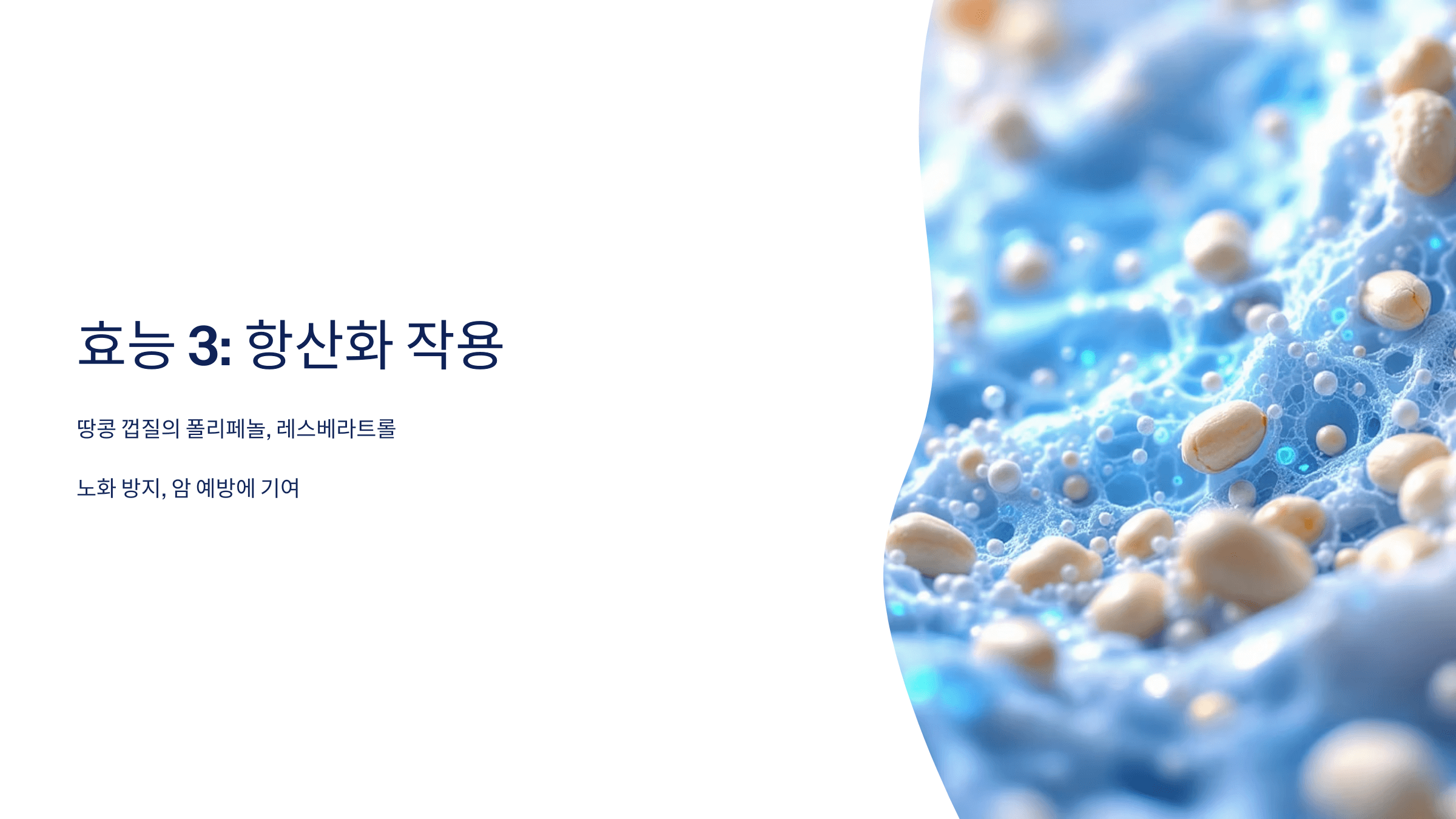 땅콩 사진입니다.