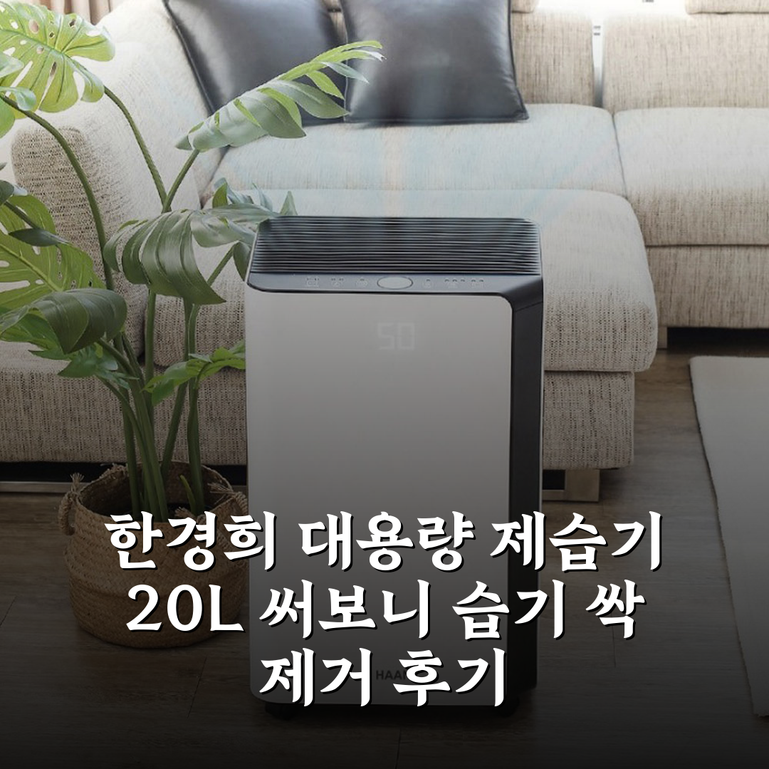 한경희 대용량 제습기 대형 이동식제습기 습기제거 거실 창고 건식 20L 상세 보기