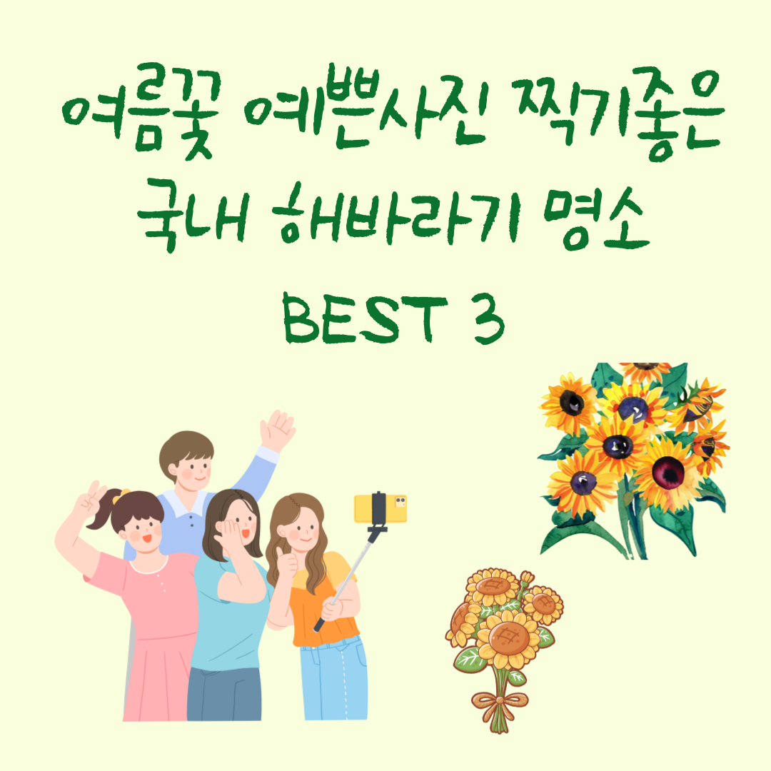 여름에 꼭 가야하는 여름꽃 국내 해바라기 축제 사진명소 best 3