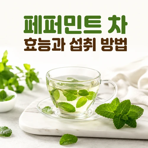 페퍼민트 차 효능과 섭취 방법