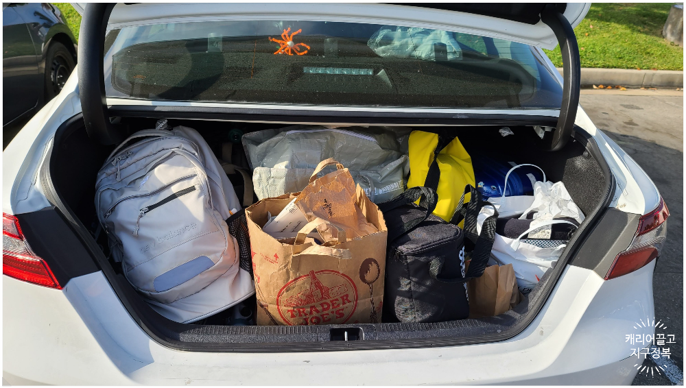 캠리에 들어가는 캐리어수