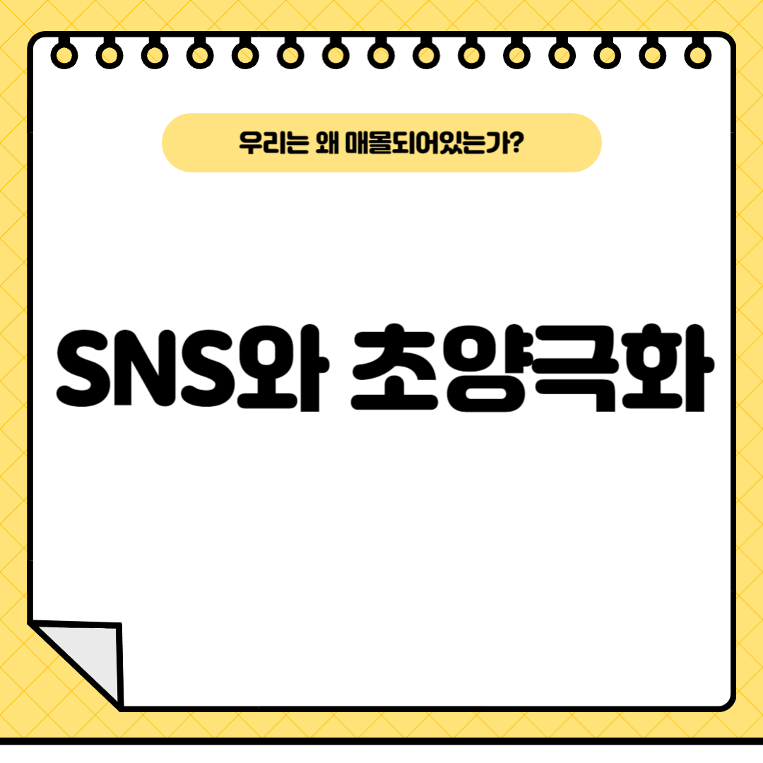 sns-초양극화