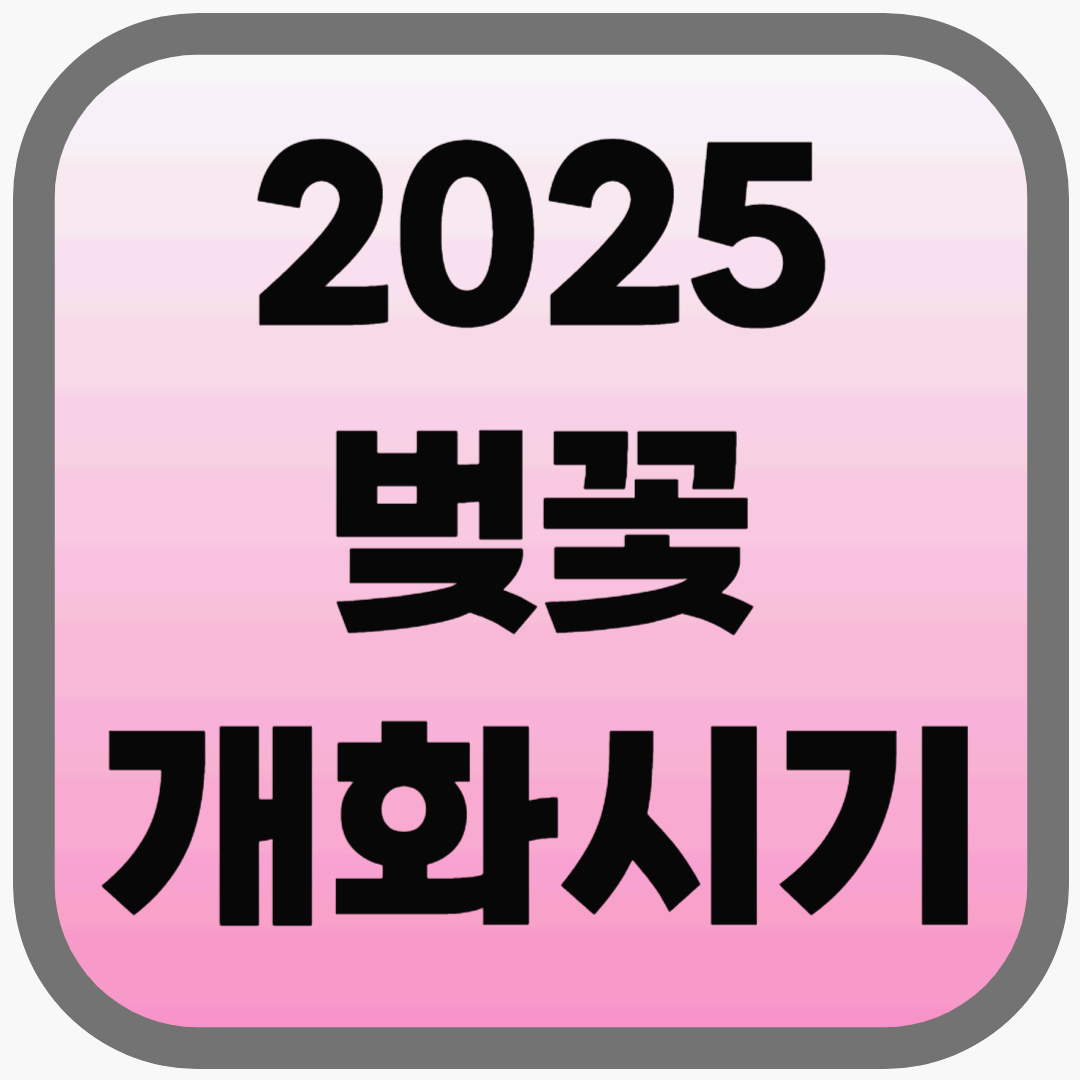 2025 벚꽃 개화시기, 지역별 개화 예상