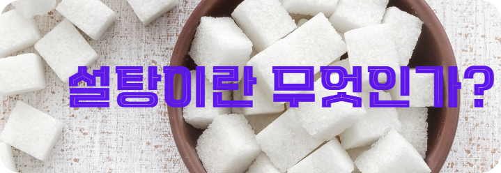 설탕이란 무엇인가?