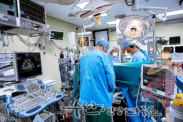 맹장염 초기증상