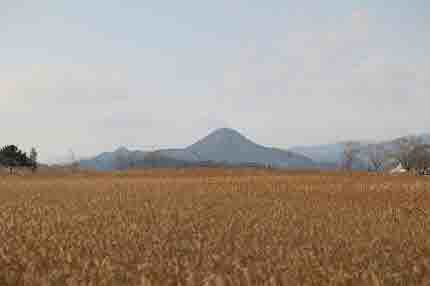 순천 가볼만한곳