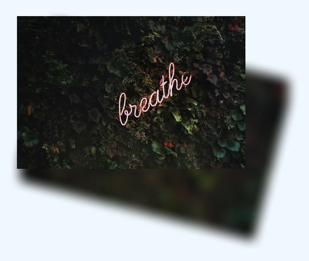 폐 건강 관리_1_subsection