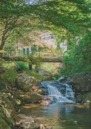 생방송투데이 오픈런 남양주 숲속 고추장 삼겹살 맛집