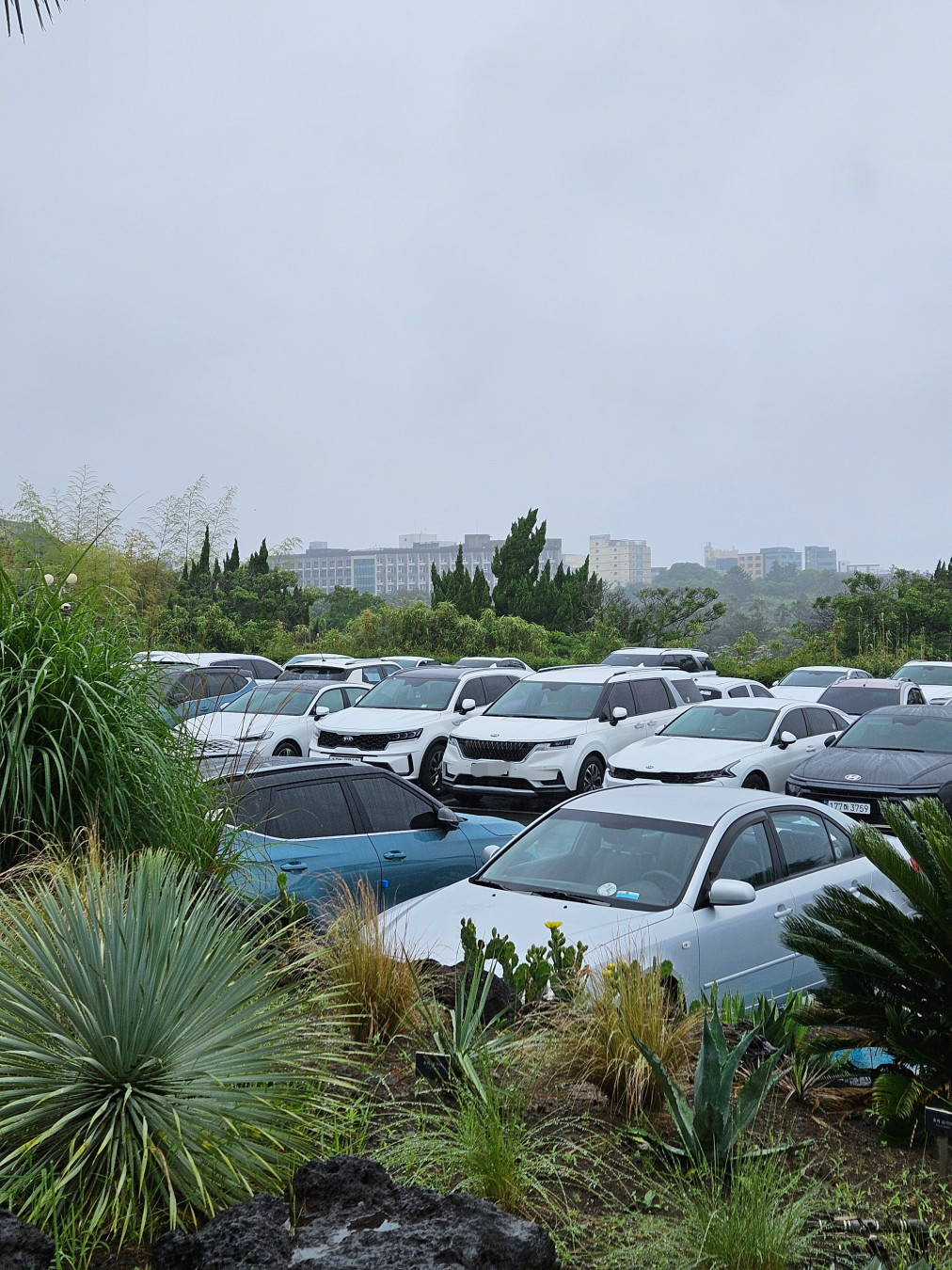 여미지 식물원 주차공간