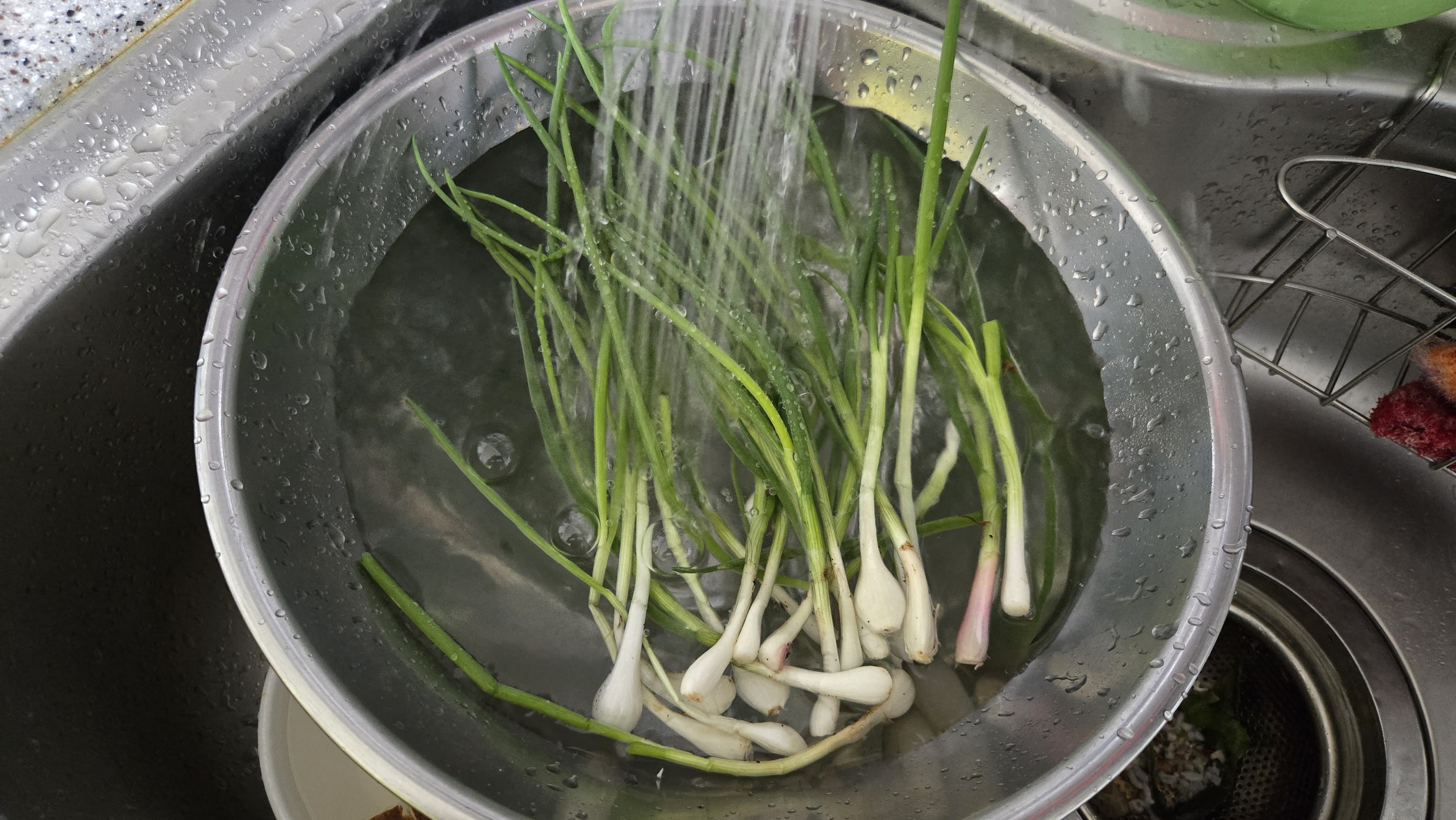 쪽파 다듬어 씻기