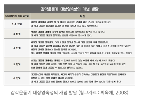 감각운동기 대상영속성의 개념발달